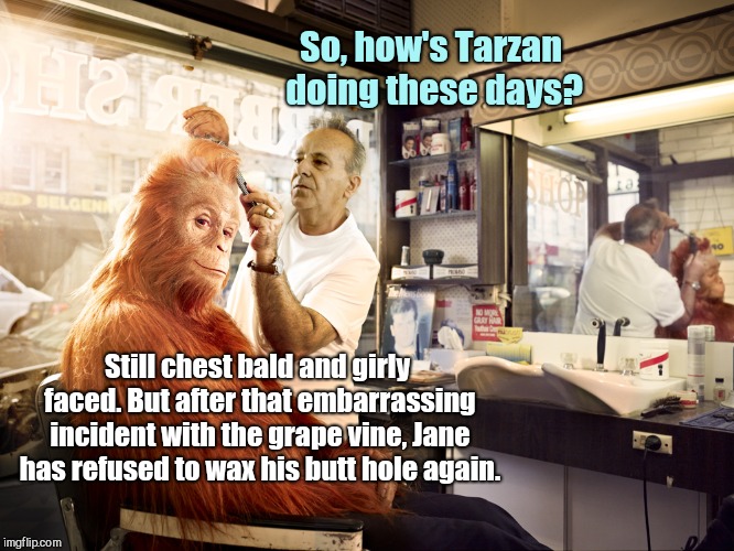 How's Tarzan? | So, how's Tarzan doing these days? Still chest bald and girly faced. But after that embarrassing incident with the grape vine, Jane has refused to wax his butt hole again. | image tagged in simian barber shop,humor | made w/ Imgflip meme maker