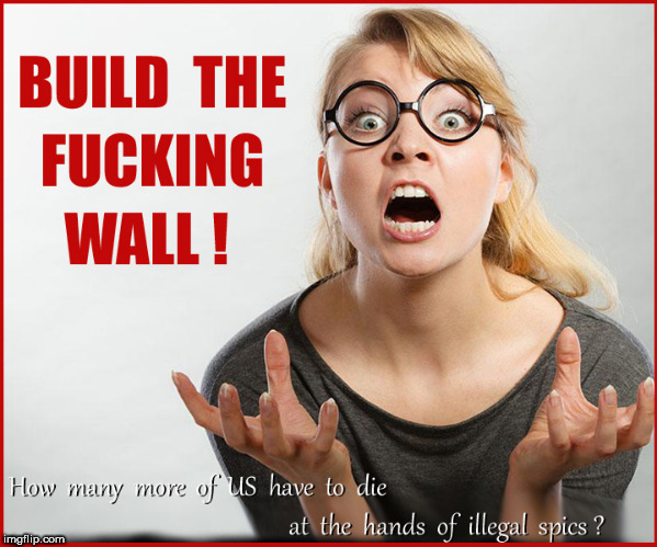 Build it........ | . | image tagged in illegal immigration,build a wall,current events,daca,lol so funny,politics lol | made w/ Imgflip meme maker