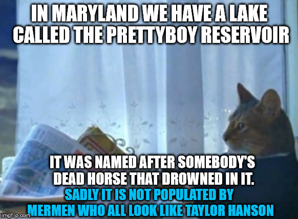 I Should Buy A Boat Cat Meme | IN MARYLAND WE HAVE A LAKE CALLED THE PRETTYBOY RESERVOIR; IT WAS NAMED AFTER SOMEBODY'S DEAD HORSE THAT DROWNED IN IT. SADLY IT IS NOT POPULATED BY MERMEN WHO ALL LOOK LIKE TAYLOR HANSON | image tagged in memes,i should buy a boat cat,lake,horse,pretty boy | made w/ Imgflip meme maker