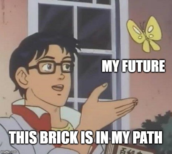 Is This A Pigeon | MY FUTURE; THIS BRICK IS IN MY PATH | image tagged in memes,is this a pigeon | made w/ Imgflip meme maker