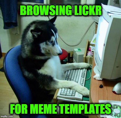 So Many Photos... | BROWSING LICKR; FOR MEME TEMPLATES | image tagged in memes,i have no idea what i am doing,dogs,funny dogs,funny dog memes | made w/ Imgflip meme maker