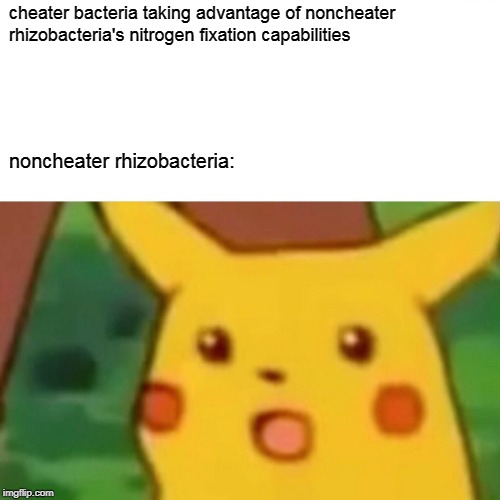 Non-cheater rhizobacteria | cheater bacteria taking advantage of noncheater rhizobacteria's nitrogen fixation capabilities; noncheater rhizobacteria: | image tagged in memes,surprised pikachu,biology,apbio | made w/ Imgflip meme maker