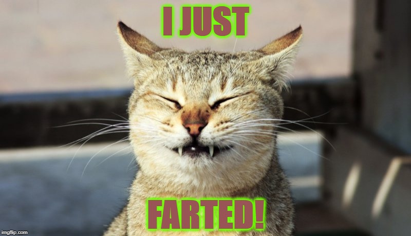 I JUST | I JUST; FARTED! | image tagged in i just | made w/ Imgflip meme maker