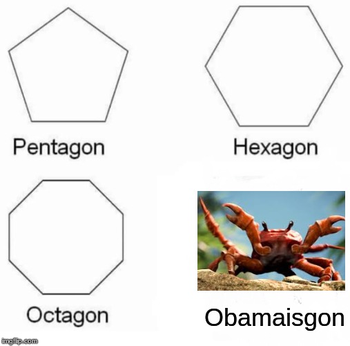 Pentagon Hexagon Octagon Meme | Obamaisgon | image tagged in memes,pentagon hexagon octagon | made w/ Imgflip meme maker