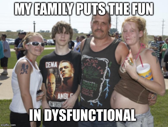 White Trash Family | MY FAMILY PUTS THE FUN; IN DYSFUNCTIONAL | image tagged in white trash family | made w/ Imgflip meme maker