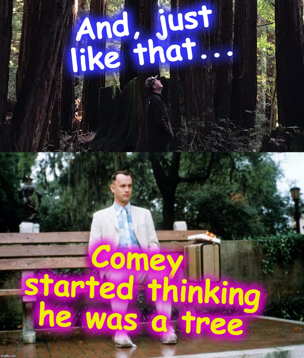 And, just like that... Comey started thinking he was a tree | image tagged in comey | made w/ Imgflip meme maker