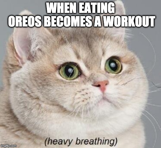 Heavy Breathing Cat | WHEN EATING OREOS BECOMES A WORKOUT | image tagged in memes,heavy breathing cat | made w/ Imgflip meme maker