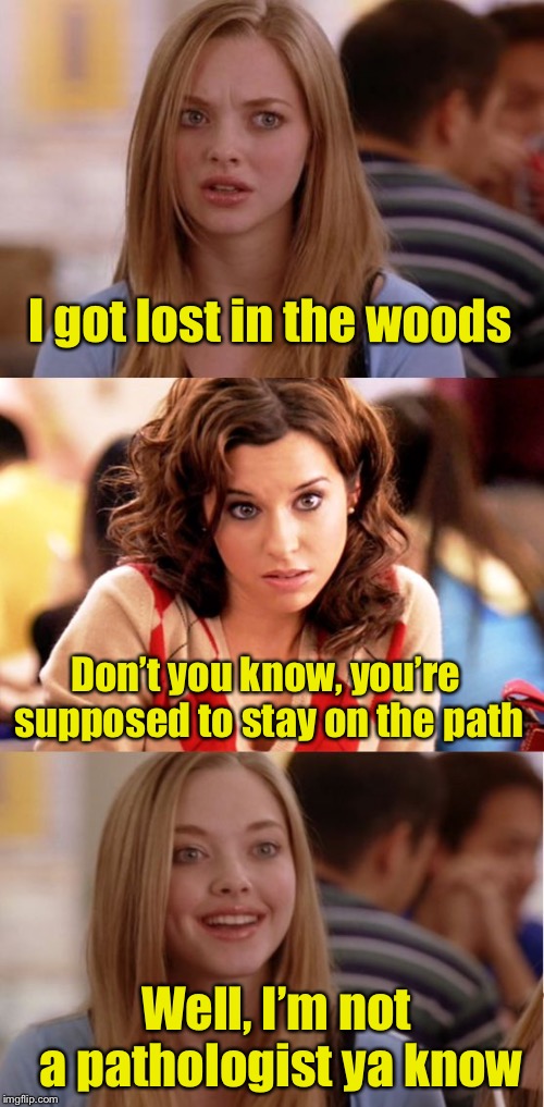 Blonde Pun | I got lost in the woods; Don’t you know, you’re supposed to stay on the path; Well, I’m not a pathologist ya know | image tagged in blonde pun | made w/ Imgflip meme maker