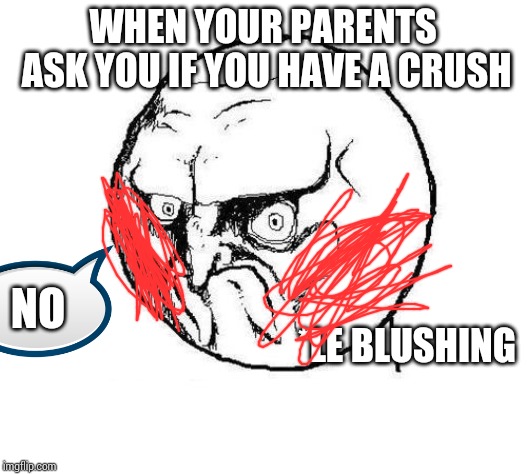 No Rage Face | WHEN YOUR PARENTS ASK YOU IF YOU HAVE A CRUSH; NO; *LE BLUSHING | image tagged in no rage face | made w/ Imgflip meme maker
