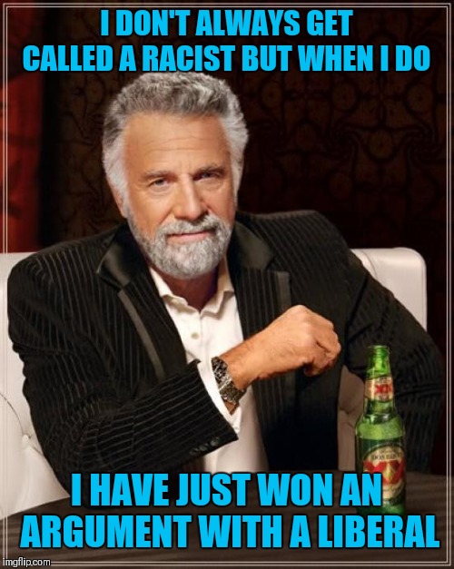 Come on admit it | I DON'T ALWAYS GET CALLED A RACIST BUT WHEN I DO; I HAVE JUST WON AN ARGUMENT WITH A LIBERAL | image tagged in memes,the most interesting man in the world,liberals,hillary clinton,donald trump,barack obama | made w/ Imgflip meme maker