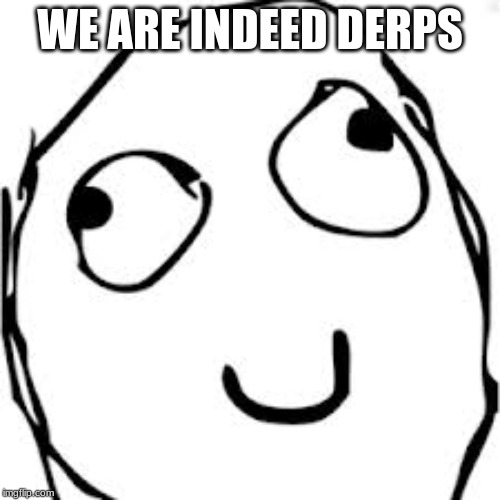 Derp | WE ARE INDEED DERPS | image tagged in memes,derp | made w/ Imgflip meme maker