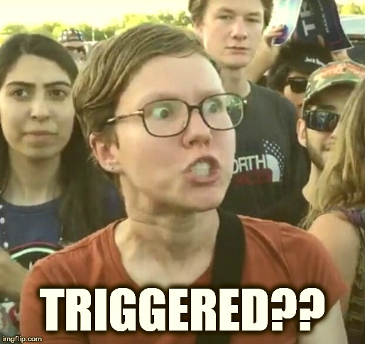 Triggered feminist | TRIGGERED?? | image tagged in triggered feminist | made w/ Imgflip meme maker