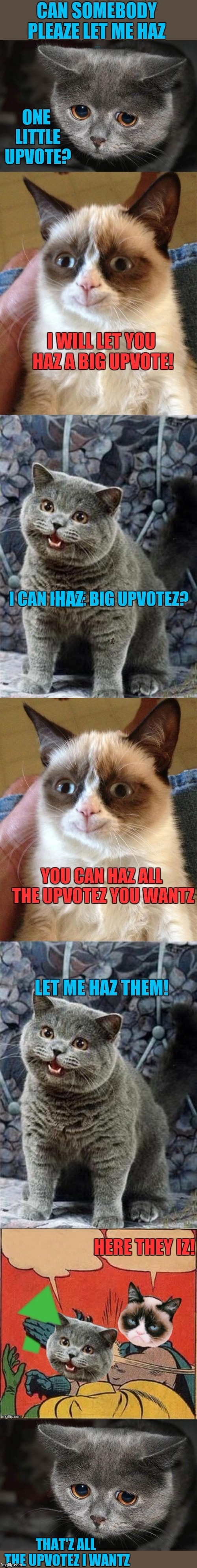 Plz let me haz upvotes | image tagged in grumpy cat,i can has cheezburger cat,begging for upvotes,upvotes,44colt | made w/ Imgflip meme maker