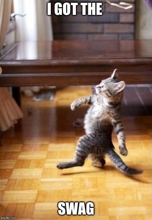 Cool Cat Stroll | I GOT THE; SWAG | image tagged in memes,cool cat stroll | made w/ Imgflip meme maker