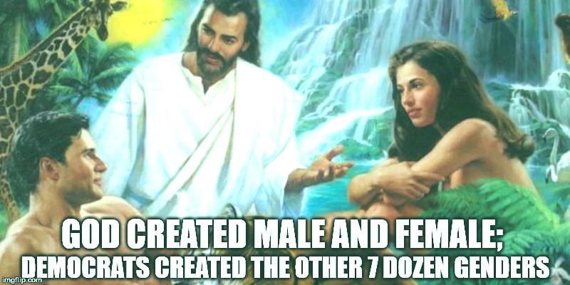 GOD CREATED MALE AND FEMALE; DEMOCRATS CREATED THE OTHER 7 DOZEN GENDERS | made w/ Imgflip meme maker