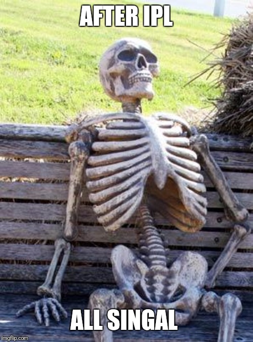 Waiting Skeleton Meme | AFTER IPL; ALL SINGAL | image tagged in memes,waiting skeleton | made w/ Imgflip meme maker