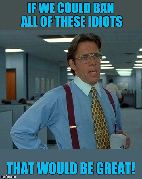 That Would Be Great Meme | IF WE COULD BAN ALL OF THESE IDIOTS THAT WOULD BE GREAT! | image tagged in memes,that would be great | made w/ Imgflip meme maker