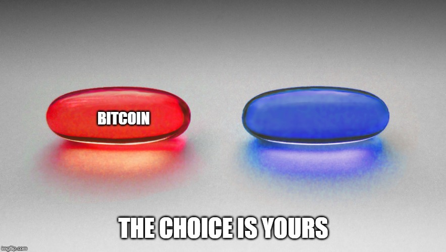 BITCOIN; THE CHOICE IS YOURS | image tagged in memes | made w/ Imgflip meme maker