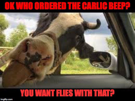 OK WHO ORDERED THE CARLIC BEEP? YOU WANT FLIES WITH THAT? | made w/ Imgflip meme maker