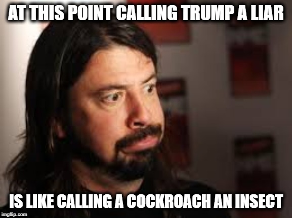 Dave Grohl Sigh Face | AT THIS POINT CALLING TRUMP A LIAR IS LIKE CALLING A COCKROACH AN INSECT | image tagged in dave grohl sigh face | made w/ Imgflip meme maker