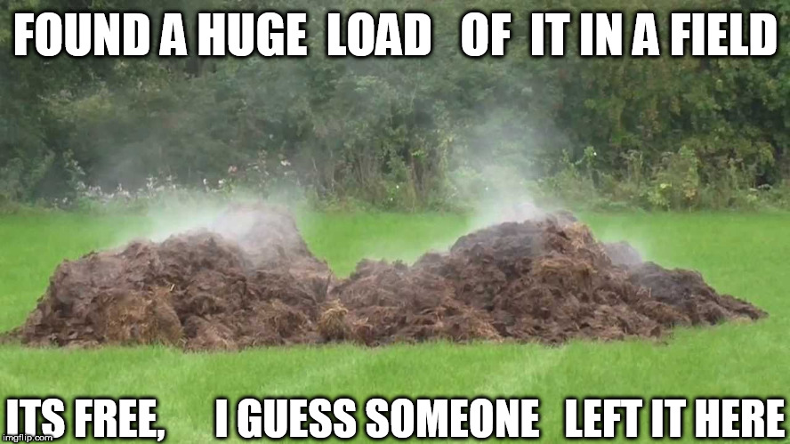 FOUND A HUGE  LOAD   OF  IT IN A FIELD ITS FREE,      I GUESS SOMEONE   LEFT IT HERE | made w/ Imgflip meme maker