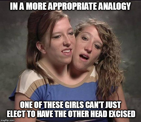 Conjoined twins | IN A MORE APPROPRIATE ANALOGY ONE OF THESE GIRLS CAN'T JUST ELECT TO HAVE THE OTHER HEAD EXCISED | image tagged in conjoined twins | made w/ Imgflip meme maker