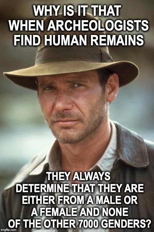 Digging Up The Past | WHY IS IT THAT WHEN ARCHEOLOGISTS FIND HUMAN REMAINS; THEY ALWAYS DETERMINE THAT THEY ARE EITHER FROM A MALE OR A FEMALE AND NONE OF THE OTHER 7000 GENDERS? | image tagged in indiana jones,gender identity,research,grave digger | made w/ Imgflip meme maker