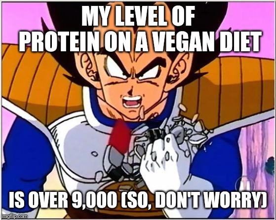 Vegeta over 9000 | MY LEVEL OF PROTEIN ON A VEGAN DIET; IS OVER 9,000
(SO, DON'T WORRY) | image tagged in vegeta over 9000 | made w/ Imgflip meme maker