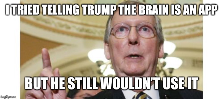 Mitch McConnell Meme | I TRIED TELLING TRUMP THE BRAIN IS AN APP BUT HE STILL WOULDN’T USE IT | image tagged in memes,mitch mcconnell | made w/ Imgflip meme maker