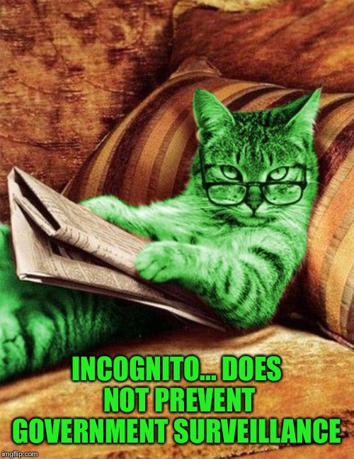 Factual RayCat | INCOGNITO... DOES NOT PREVENT GOVERNMENT SURVEILLANCE | image tagged in factual raycat | made w/ Imgflip meme maker
