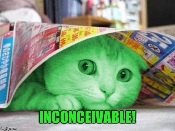 RayCat Scared | INCONCEIVABLE! | image tagged in raycat scared | made w/ Imgflip meme maker