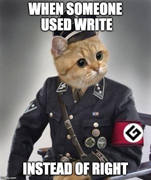 Grammar Nazi Cat | WHEN SOMEONE USED WRITE INSTEAD OF RIGHT | image tagged in grammar nazi cat | made w/ Imgflip meme maker
