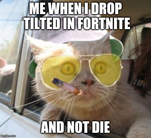 Fear And Loathing Cat Meme |  ME WHEN I DROP TILTED IN FORTNITE; AND NOT DIE | image tagged in memes,fear and loathing cat | made w/ Imgflip meme maker