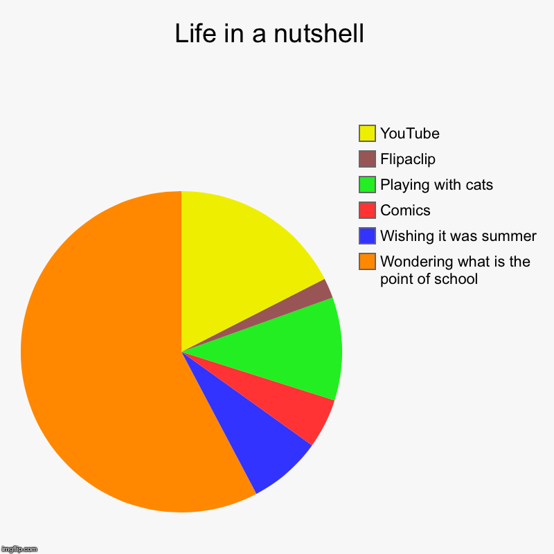 Life in a nutshell  | Wondering what is the point of school , Wishing it was summer , Comics, Playing with cats , Flipaclip, YouTube | image tagged in charts,pie charts | made w/ Imgflip chart maker