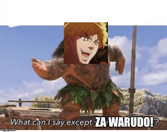 What can I say except you're welcome? | ZA WARUDO! | image tagged in what can i say except you're welcome | made w/ Imgflip meme maker