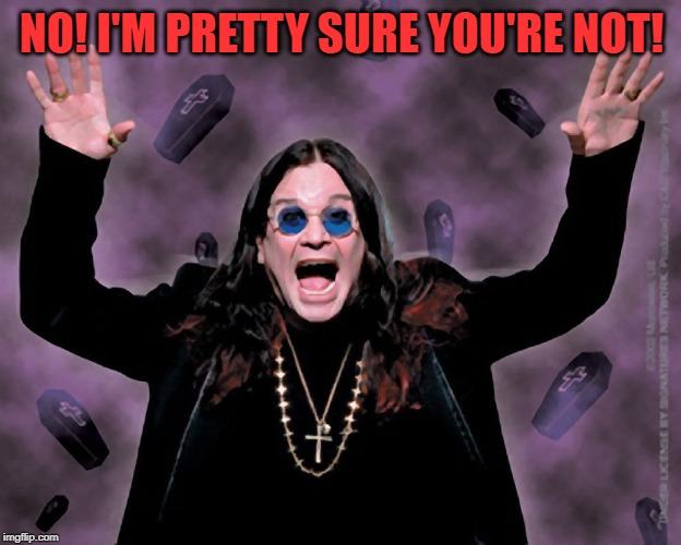 OZZY | NO! I'M PRETTY SURE YOU'RE NOT! | image tagged in ozzy | made w/ Imgflip meme maker