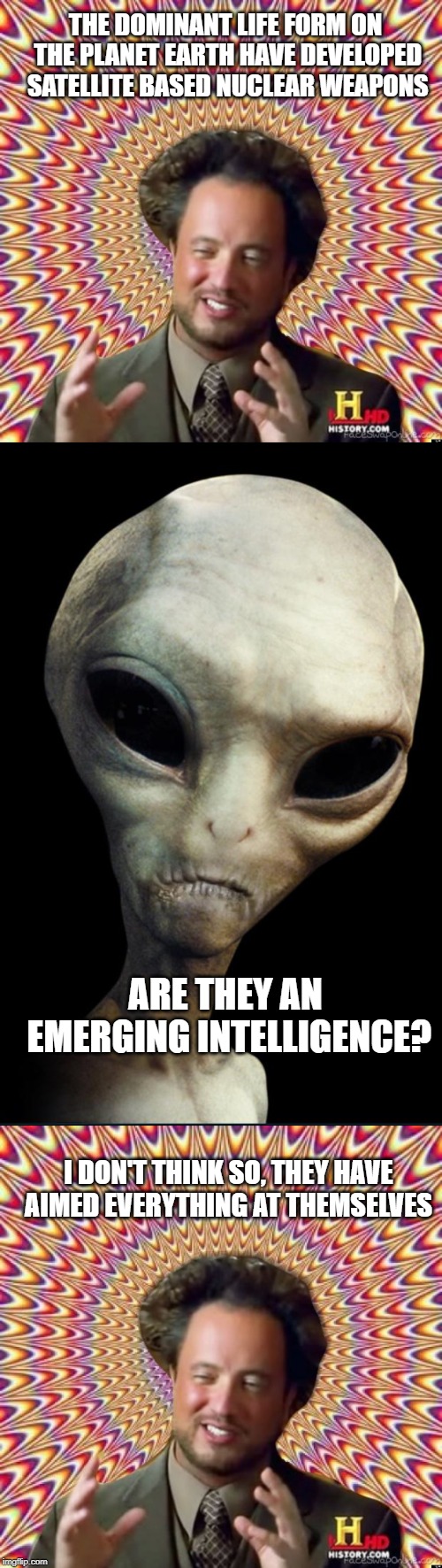THE DOMINANT LIFE FORM ON THE PLANET EARTH HAVE DEVELOPED SATELLITE BASED NUCLEAR WEAPONS; ARE THEY AN EMERGING INTELLIGENCE? I DON'T THINK SO, THEY HAVE AIMED EVERYTHING AT THEMSELVES | made w/ Imgflip meme maker