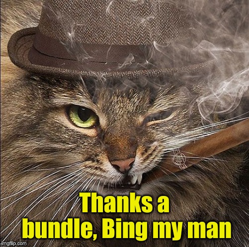 Gangster cat | Thanks a bundle, Bing my man | image tagged in gangster cat | made w/ Imgflip meme maker