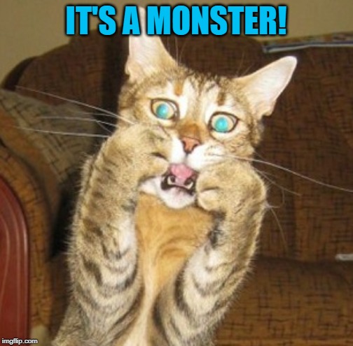 Scared cat | IT'S A MONSTER! | image tagged in scared cat | made w/ Imgflip meme maker