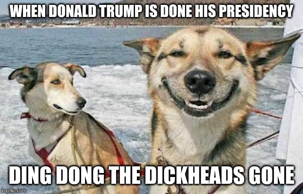 Original Stoner Dog Meme | WHEN DONALD TRUMP IS DONE HIS PRESIDENCY; DING DONG THE DICKHEADS GONE | image tagged in memes,original stoner dog | made w/ Imgflip meme maker