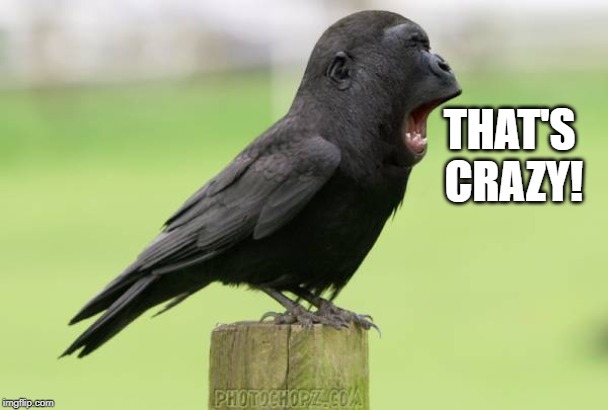 animals | THAT'S CRAZY! | image tagged in animals | made w/ Imgflip meme maker