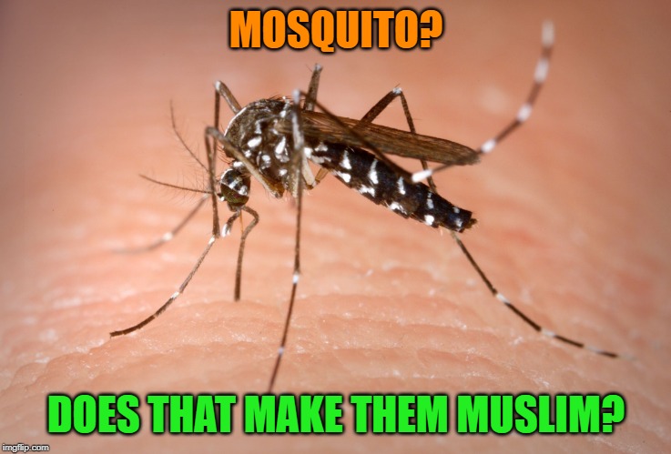 I mean, they are terrorists right? | MOSQUITO? DOES THAT MAKE THEM MUSLIM? | image tagged in mosquito,nixieknox,memes | made w/ Imgflip meme maker