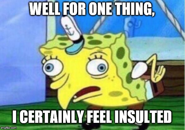 Mocking Spongebob Meme | WELL FOR ONE THING, I CERTAINLY FEEL INSULTED | image tagged in memes,mocking spongebob | made w/ Imgflip meme maker