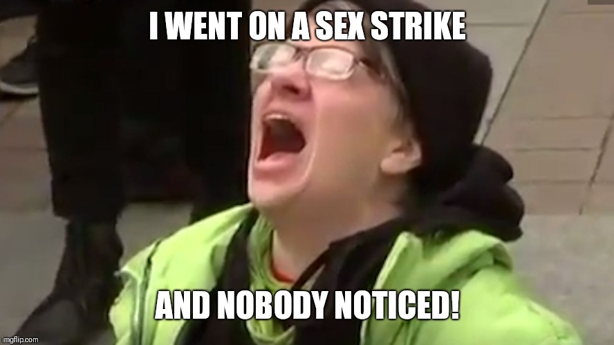 Screaming Liberal  | I WENT ON A SEX STRIKE; AND NOBODY NOTICED! | image tagged in screaming liberal | made w/ Imgflip meme maker