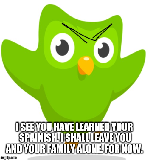 Duolingo Owl | I SEE YOU HAVE LEARNED YOUR SPAINISH. I SHALL LEAVE YOU AND YOUR FAMILY ALONE. FOR NOW. | image tagged in duolingo owl | made w/ Imgflip meme maker