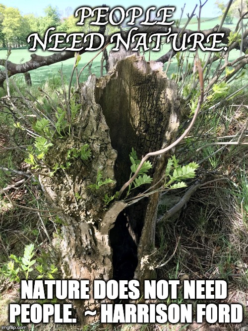 Nature does not need people. | PEOPLE NEED NATURE. NATURE DOES NOT NEED PEOPLE.
 ~ HARRISON FORD | image tagged in environment,nature | made w/ Imgflip meme maker