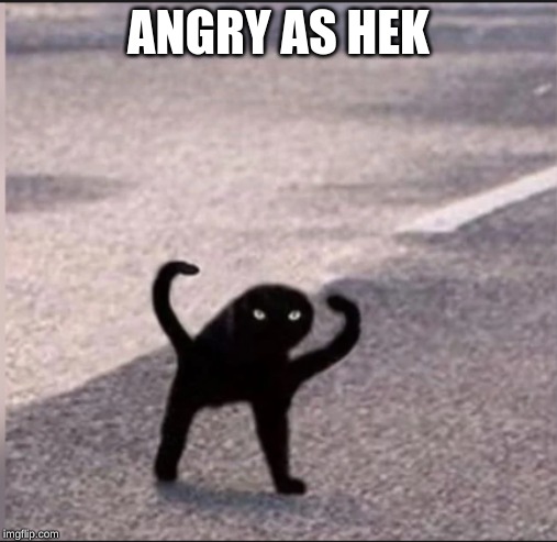 ANGRY AS HEK | image tagged in kill me now | made w/ Imgflip meme maker
