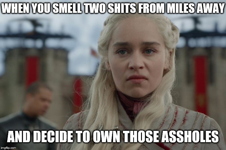 GoT Khaleesi | WHEN YOU SMELL TWO SHITS FROM MILES AWAY AND DECIDE TO OWN THOSE ASSHOLES | image tagged in got khaleesi | made w/ Imgflip meme maker