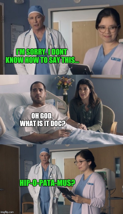 Just OK Surgeon commercial | I'M SORRY. I DONT KNOW HOW TO SAY THIS... OH GOD. WHAT IS IT DOC? HIP-O-PATA-MUS? | image tagged in just ok surgeon commercial | made w/ Imgflip meme maker