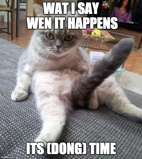 Sexy Cat Meme | WAT I SAY WEN IT HAPPENS; ITS (DONG) TIME | image tagged in memes,sexy cat | made w/ Imgflip meme maker